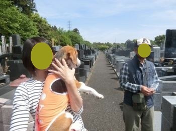 190503-1.jpg
