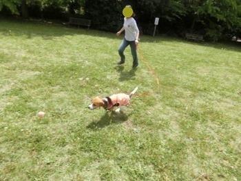 190503-10.jpg