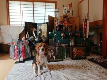 190503-11.jpg