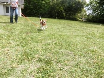 190503-6.jpg