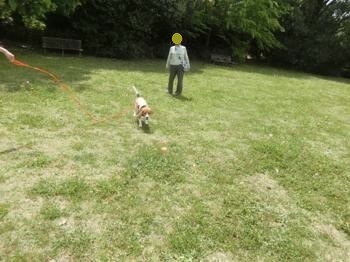 190503-9.jpg