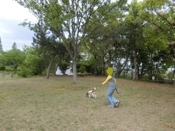 190506-11.jpg