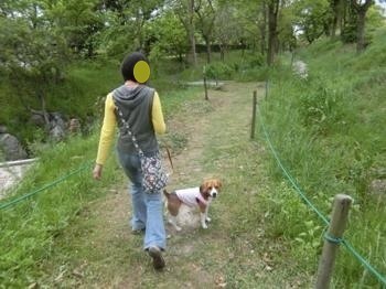190506-13.jpg