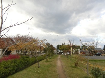 171030-9.jpg