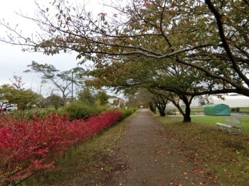 171021-6.jpg