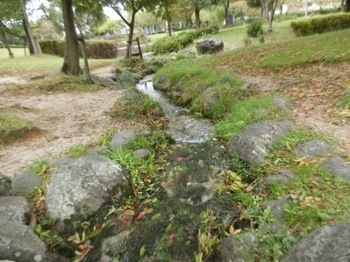 171024-6.jpg