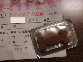 171028-11.jpg