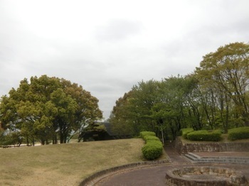 180417-13.jpg