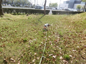 180422-11.jpg