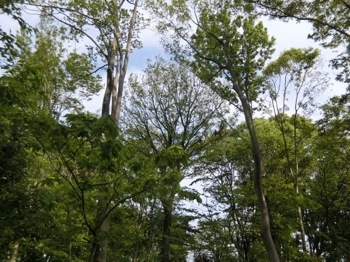 180422-13.jpg
