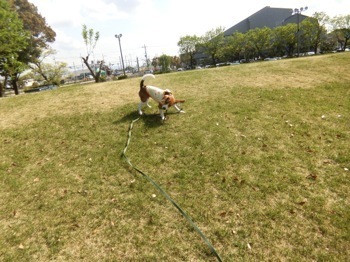 180427-19.jpg