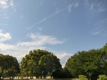 180427-23.jpg