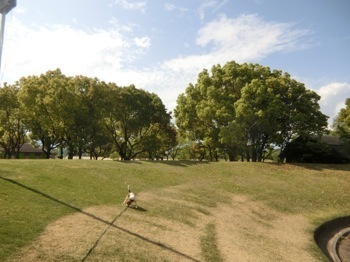 180427-24.jpg