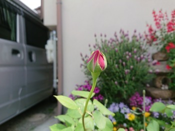 180430-3.jpg