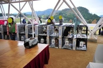 181104-19.jpg