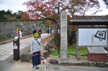181104-39.jpg