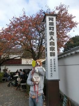 181104-49.jpg