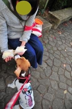 181104-60.jpg