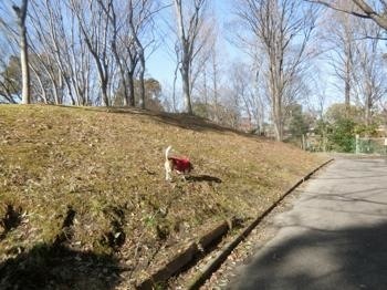 190205-13.jpg