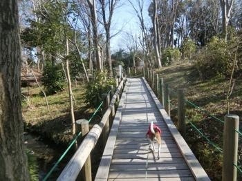 190205-14.jpg