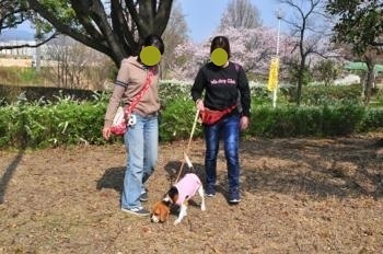 190407-11.jpg