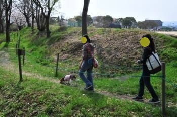 190407-17.jpg