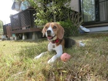190504-18.jpg