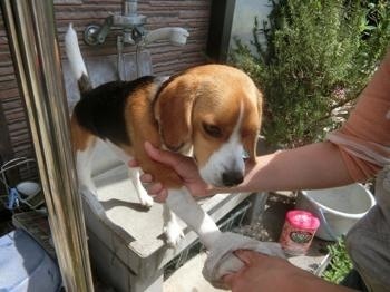 190505-11.jpg