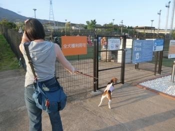 190505-14.jpg