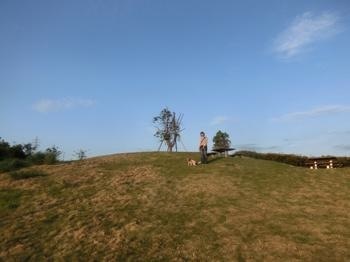 190505-17.jpg
