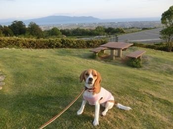 190505-18.jpg