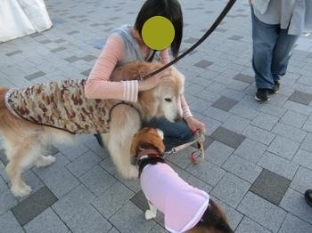 190505-20.jpg