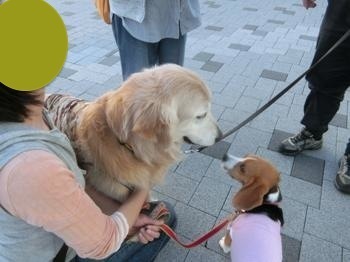 190505-21.jpg