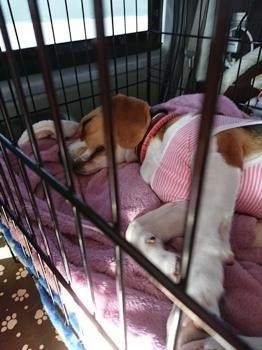190505-24.jpg