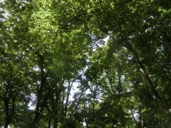 190505-3.jpg