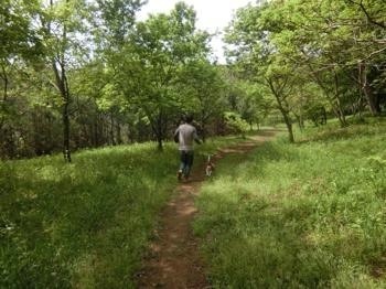 190505-5.jpg