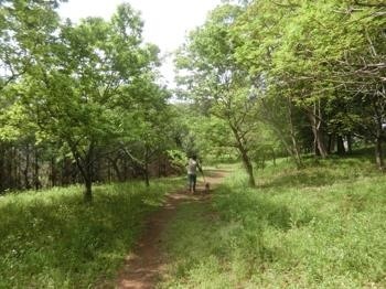 190505-6.jpg