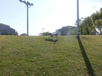190523-12.jpg