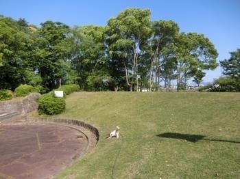 190523-7.jpg