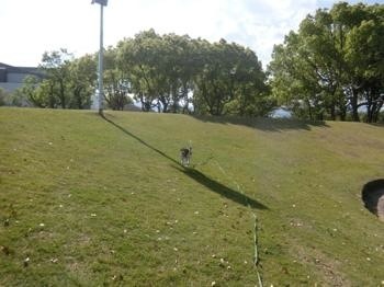 190523-9.jpg
