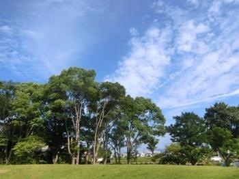 190710-10.jpg