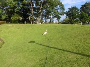190710-12.jpg