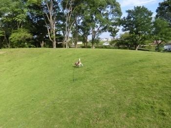 190710-16.jpg