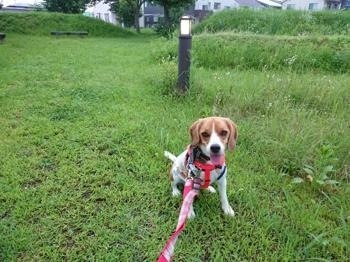 190725-12.jpg