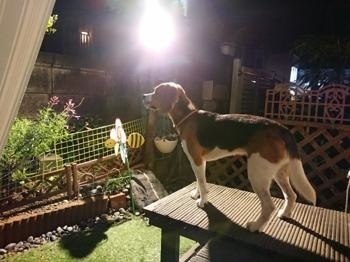 190725-21.jpg