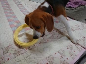 190727-11.jpg