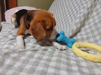 190727-13.jpg