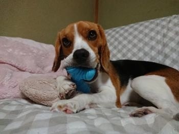 190727-16.jpg
