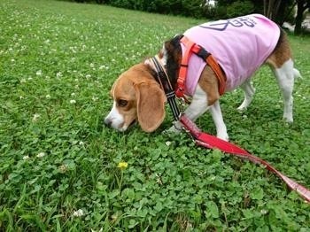 190727-2.jpg