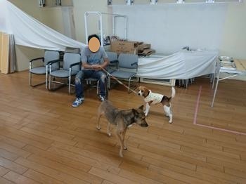 190727-4.jpg